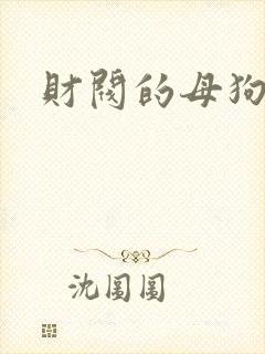 财阀的母狗们