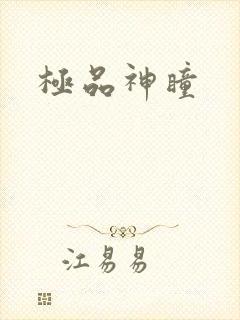 极品神瞳