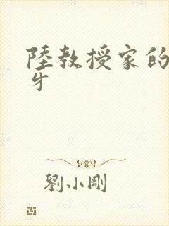 陆教授家的小月牙封面