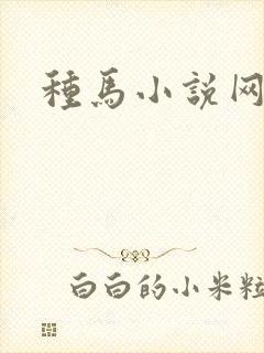 种马小说网