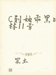 C到她乖黑暗森林11章封面