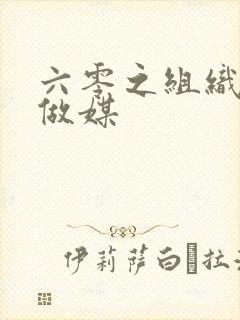 六零之组织给我做媒