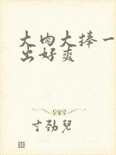 大肉大捧一进一出好爽封面
