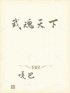武魂天下封面
