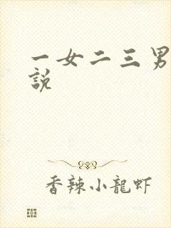 一女二三男事小说