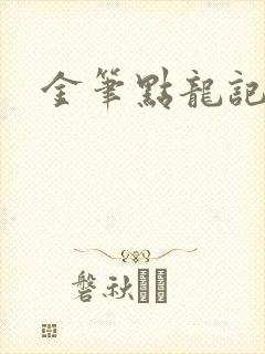 金笔点龙记封面