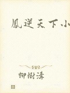 凤逆天下小说封面