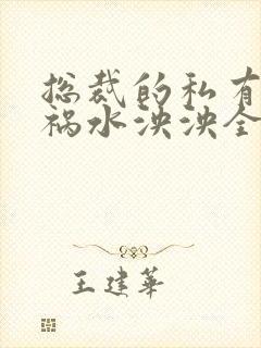 总裁的私有宝贝祸水泱泱全文阅读