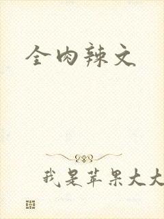 全肉辣文