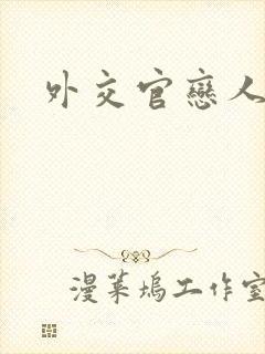 外交官恋人小说封面