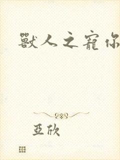 兽人之宠你为上