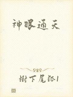 神眼通天