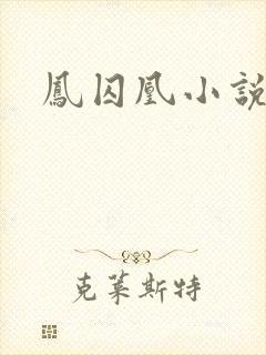 凤囚凰小说封面