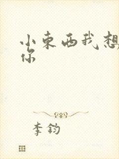 小东西我想弄坏你封面