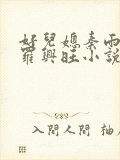 好儿媳秦雨罗明罗兴旺小说