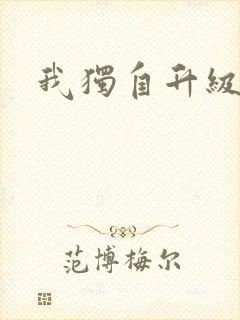 我独自升级小说封面