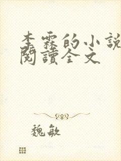 李霖的小说免费阅读全文