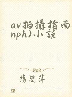 av拍摄指南(nph)小说封面