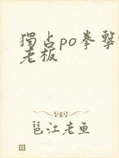 独占po拳击馆老板