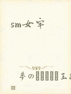 sm女牢