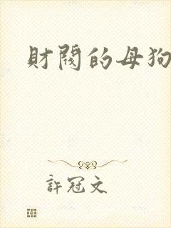 财阀的母狗们封面