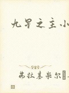 九星之主小说