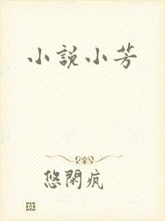小说小芳