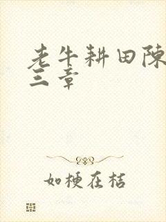 老牛耕田陈雪第三章