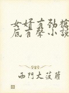 女婿有劲枪枪到底有声小说