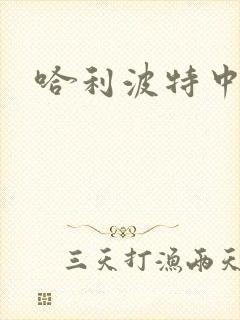 哈利波特中文版封面