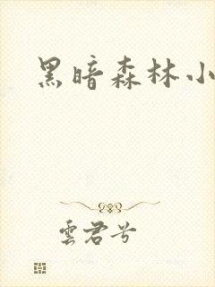 黑暗森林小说