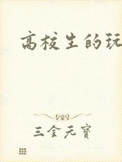 高校生的玩物