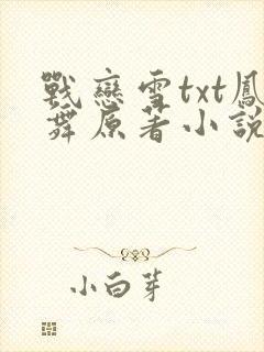 战恋雪txt凤舞原著小说封面