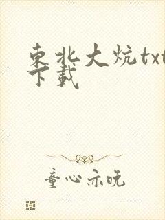 东北大炕txt下载