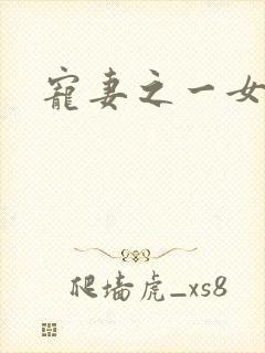 宠妻之一女二夫封面