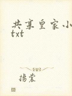 共享皇家小公主txt