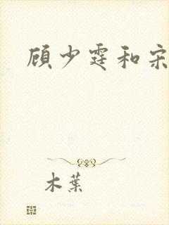 顾少霆和宋斯曼