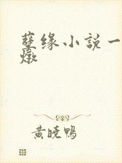 孽缘小说一家乱炖