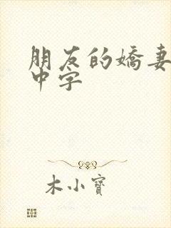 朋友的娇妻hd中字封面