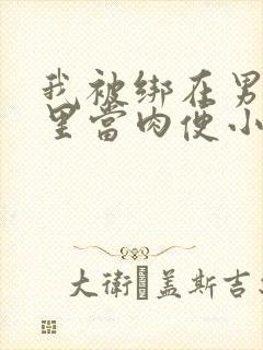 我被绑在男公厕里当肉便小说