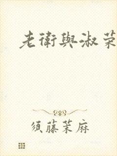 老卫与淑荣封面