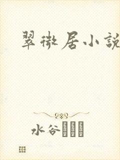 翠微居小说