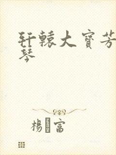 轩辕大宝芳菲雅琴封面