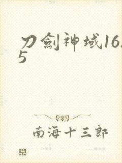 刀剑神域16.5