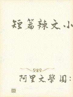 短篇辣文小说