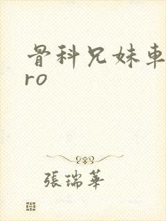 骨科兄妹车多pro