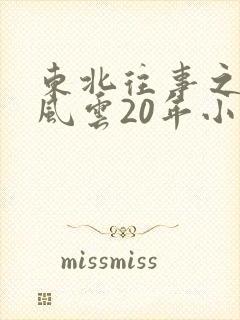 东北往事之黑道风云20年小说封面