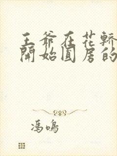 王爷在花轿里就开始圆房的小说封面