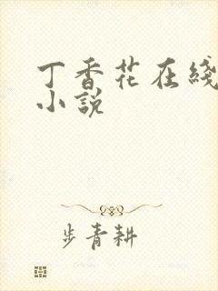 丁香花在线电影小说