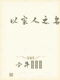以家人之名小说